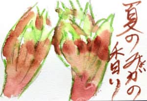 夏のミョウガの香り