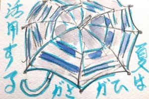 夏には日傘 活用する