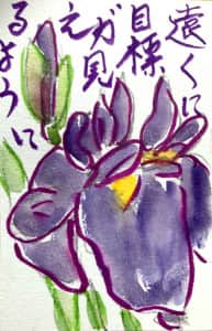 遠くに目標が見えるように 〜アヤメの花の絵手紙〜