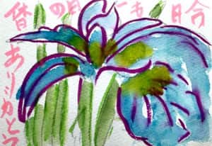 今日も一日の休日ありがとう 〜アヤメの花の絵手紙〜