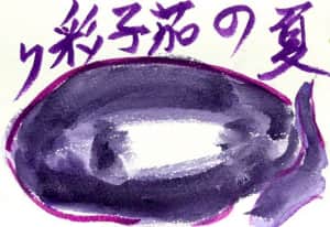 夏の茄子 彩り