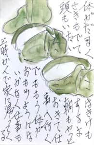5月21日 柏餅の絵手紙