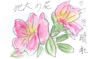 さつき晴れ 花の大地
