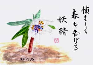 早春の草花