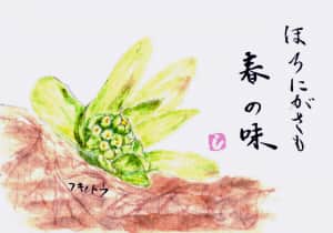 早春の草花