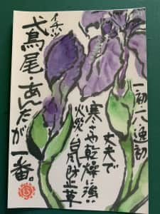 やっと咲いた イチハツ