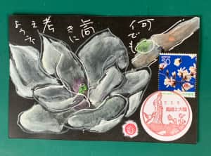 ハクモクレンの花