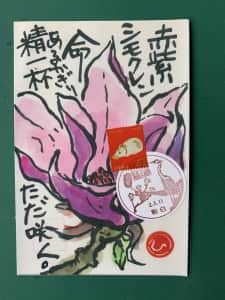 紫木蓮が咲いたよ❣️