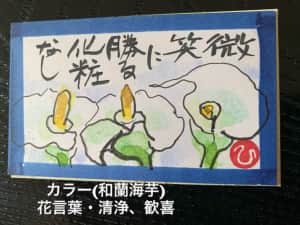 仏炎苞の温もり