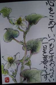 どくだみ