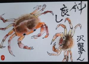 沢蟹