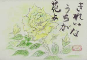 きれいなうちが花よ