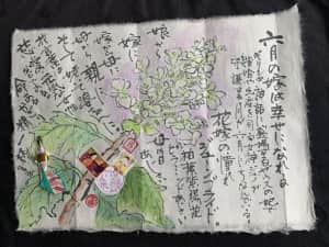 ジューンブライド❣️六月の花嫁