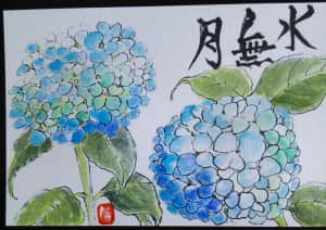 紫陽花