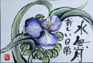 露草