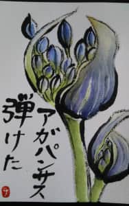 アガパンサス