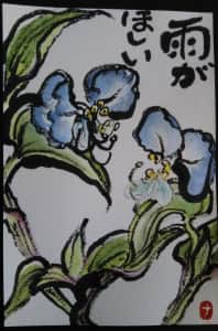 つゆ草