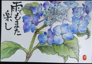 あじさい