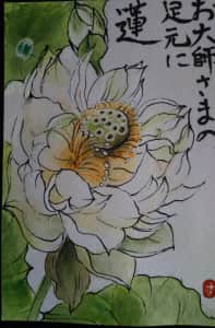 蓮