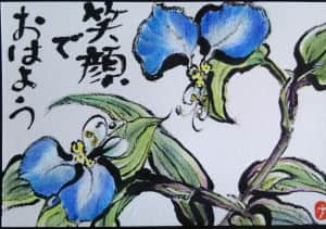 つゆ草