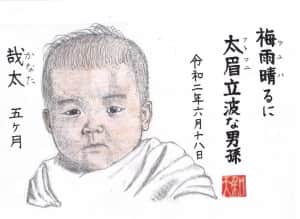 梅雨晴るに太眉立派な男孫