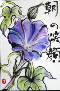 朝顔