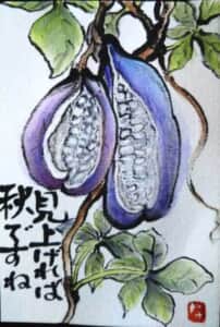あけび