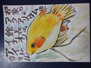 お家アクアリウム館長より