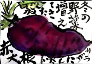冬野菜増えて来たね サラダにしたい赤大根