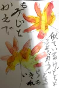 似ているけど違うどちらも綺麗 紅葉とかえで