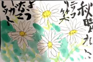 秋晴れニッコリ笑うマーガレット