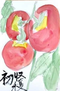 初収穫 トマトの絵手紙