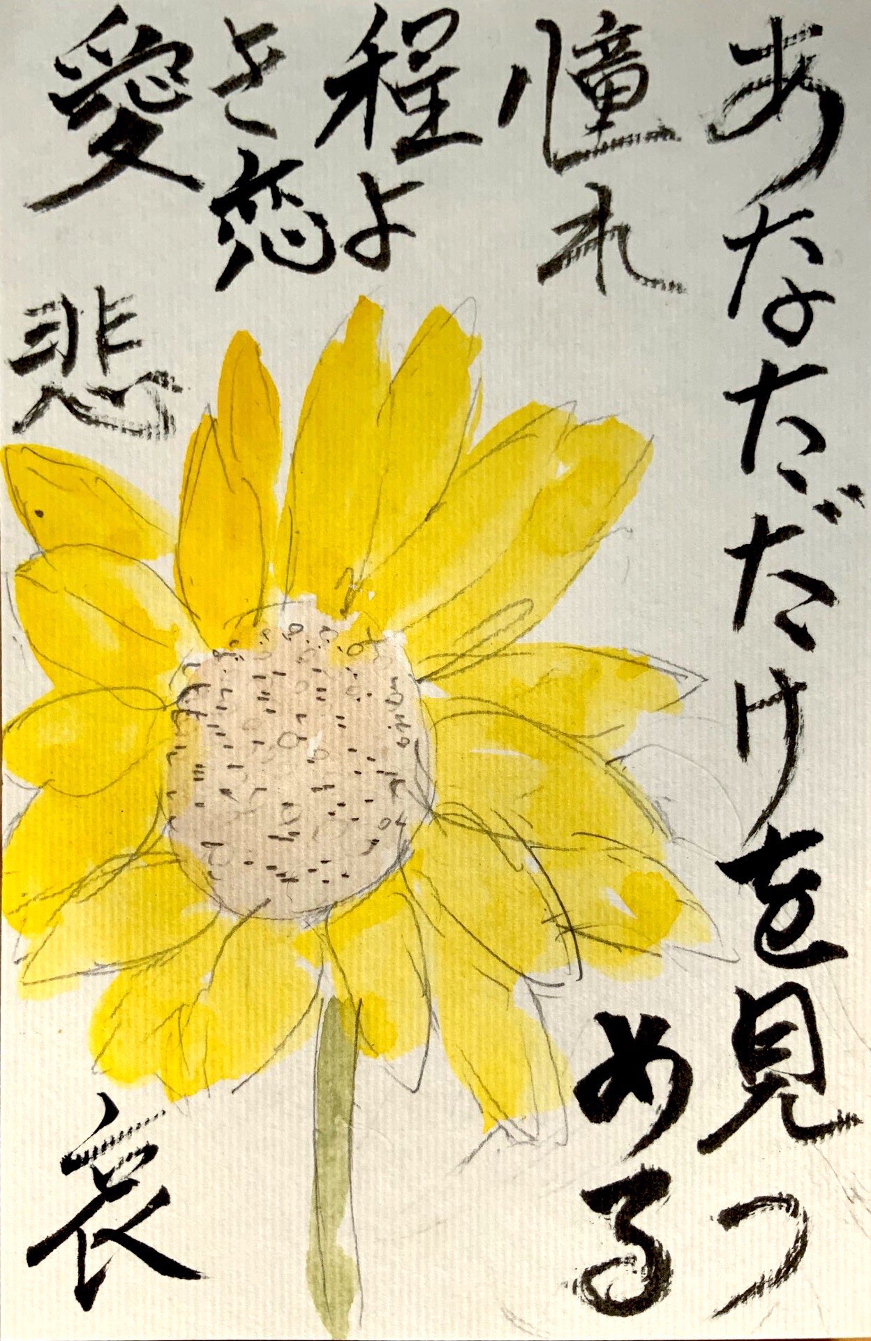 あなただけを見つめる 憧れ 程よき恋愛 悲哀 〜ひまわりの花言葉の絵手紙〜