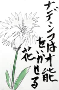 ナデシコは才能をいかせる花