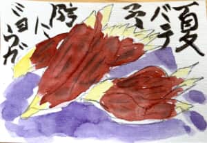 夏バテ予防にミョウガ