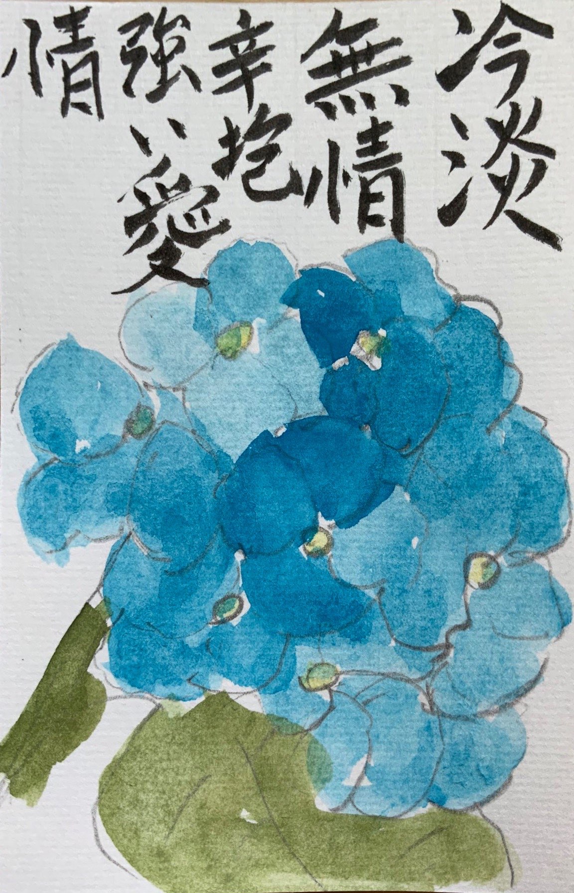 冷淡 無情 辛抱 強い愛情 青いあじさいの花言葉の絵手紙