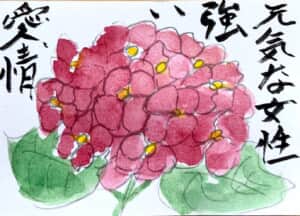 元気な女性 強い愛情 〜赤いあじさいの花言葉の絵手紙〜