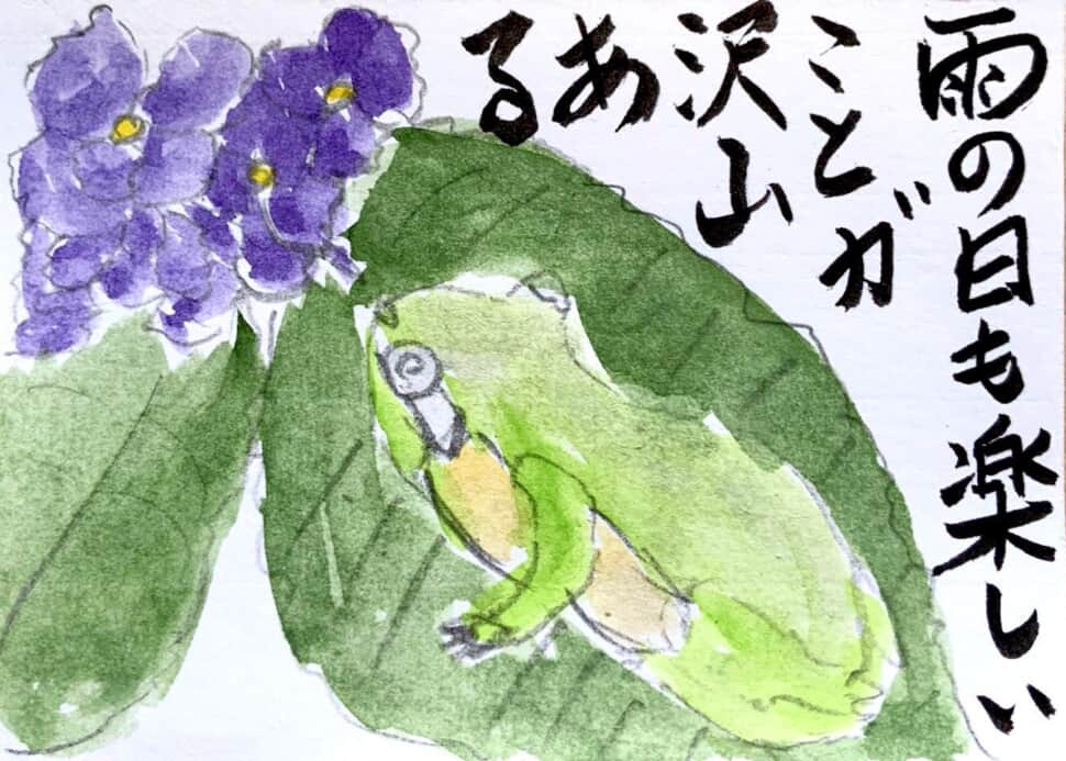 雨の日も楽しいことがたくさんある 〜紫陽花の花とアマガエルの絵手紙〜