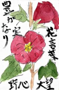 花言葉 野心 大望 豊かな実り タチアオイの花言葉の絵手紙