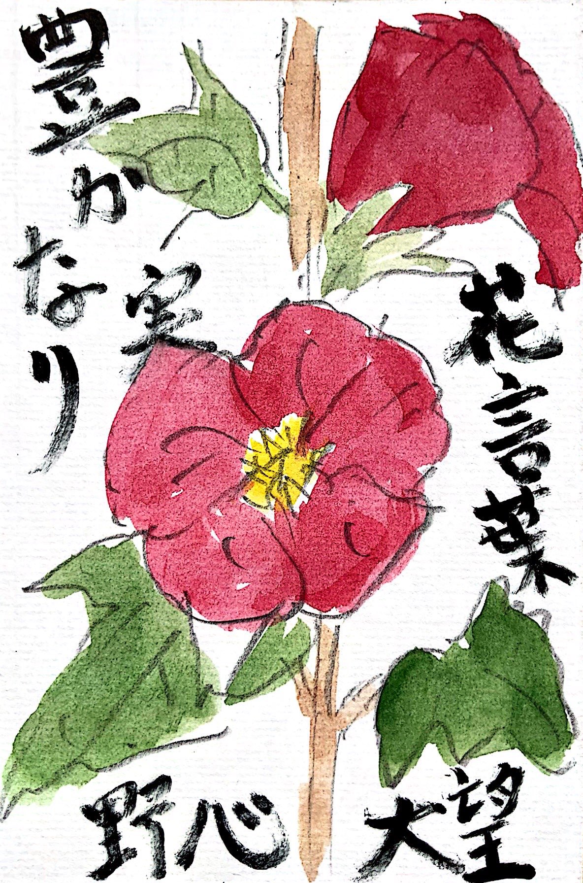 花言葉 野心 待望 豊かな実り タチアオイの花言葉の絵手紙