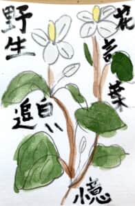 花言葉は野生 白い追憶 〜どくだみの花〜