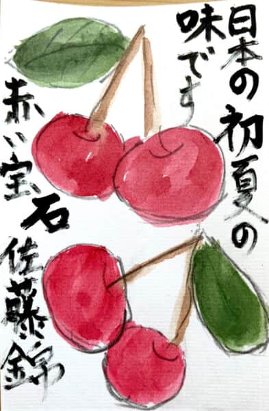 日本の初夏の味です 赤い宝石 佐藤錦