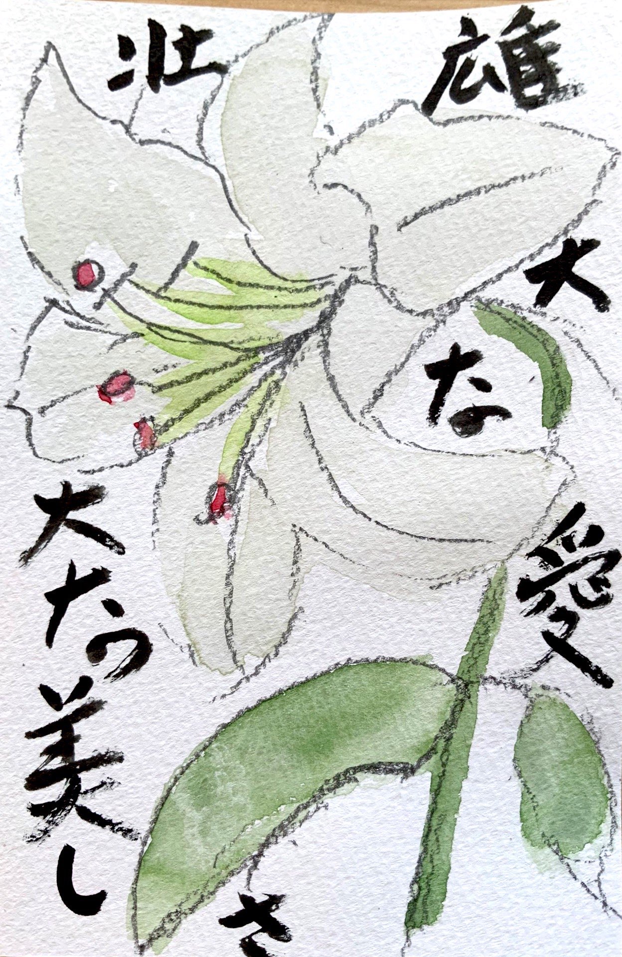 雄大な愛 壮大な美しさ 白い百合の花コトバ