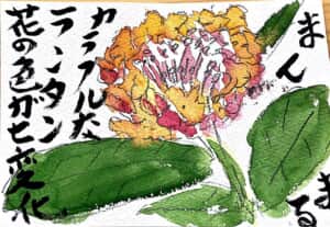 まんまる カラフルなランタン 花の色が七変化