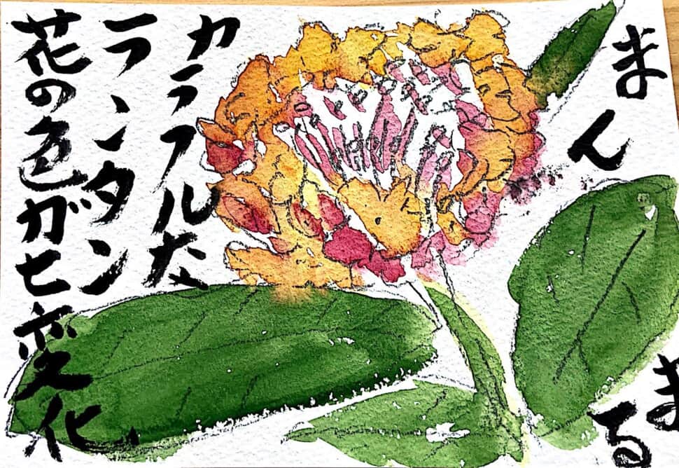 まんまる カラフルなランタン 花の色が七変化