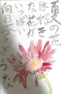 夏の花は好きな花がいっぱい 向日葵のような