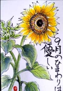 ひまわり