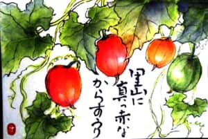 からすうり
