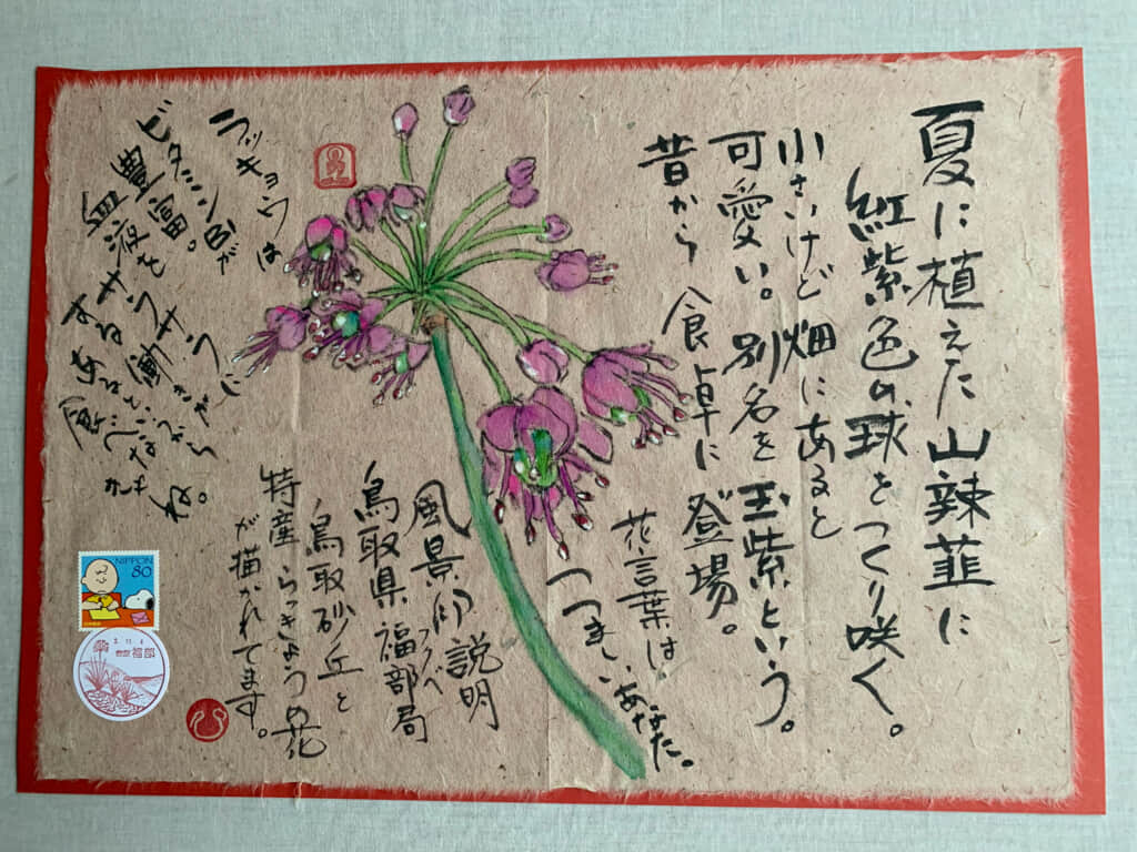 ラッキョウの花 絵手紙 交流ひろば てがみ倶楽部絵手紙 交流ひろば てがみ倶楽部 ラッキョウの花 絵手紙 交流ひろば てがみ倶楽部絵手紙 交流ひろば てがみ倶楽部