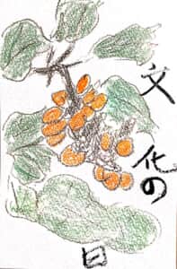 文化の日